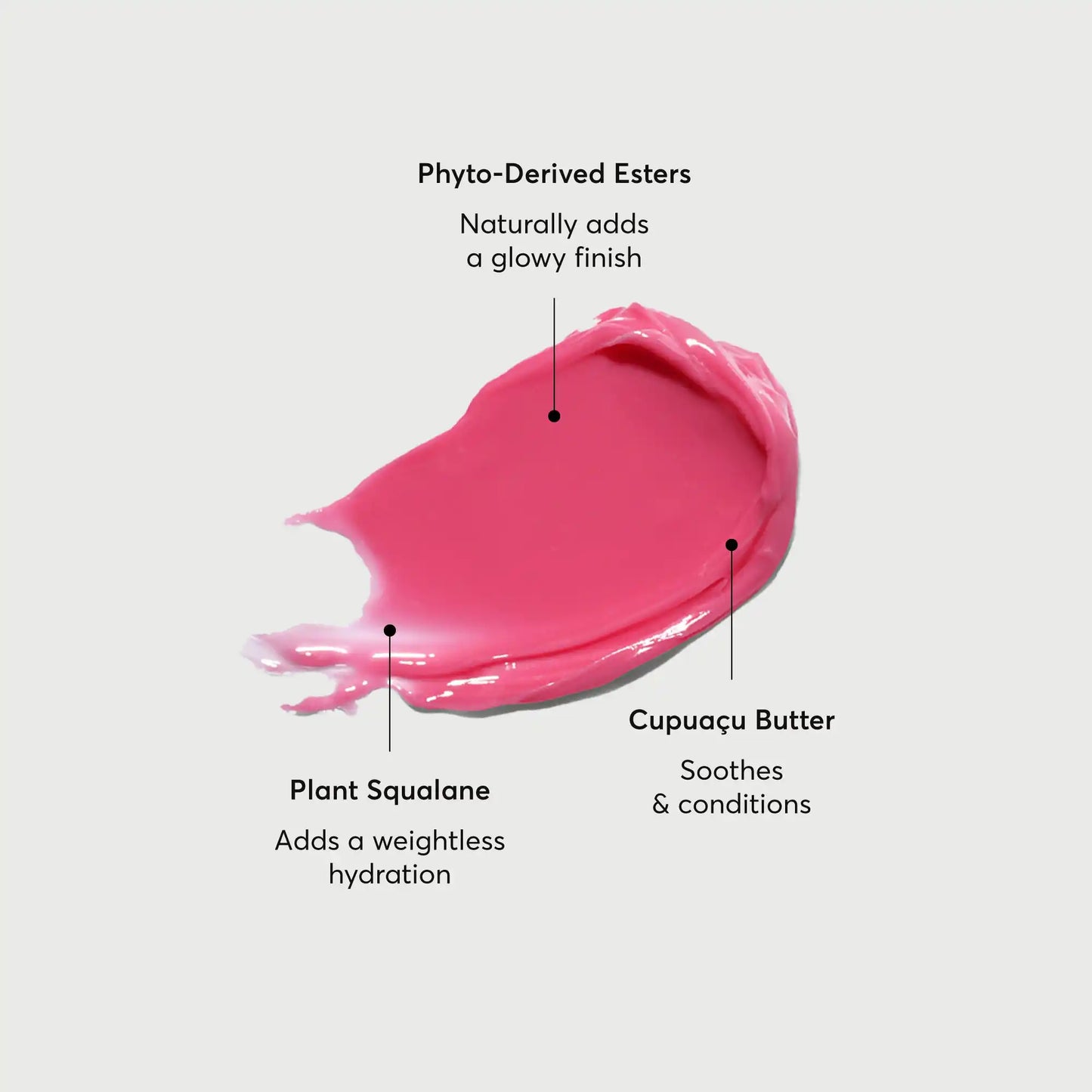 phyto-glow-lip-balm-camellia-c6 NATR-60075-Alt-Images-Phyto-Glow-Lip-Balm-Camellia-01.webp